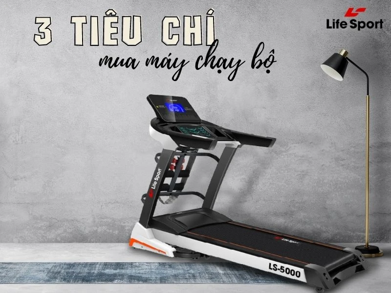 Ghế massage Lifesport - Giải pháp thư giãn hàng đầu của mọi nhà