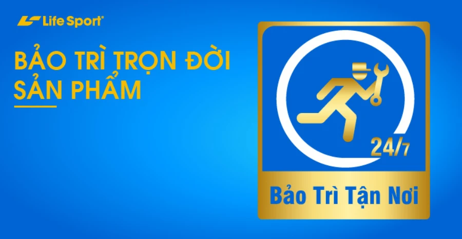 Các chính sách hỗ trợ 