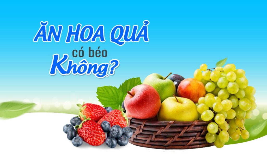 Ăn hoa quả có béo không? Top 10 loại trái cây hỗ trợ giảm cân hiệu quả