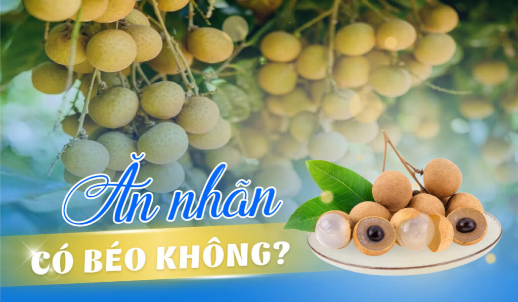 Ăn nhãn có béo không? Những lợi ích bất ngờ từ nhãn