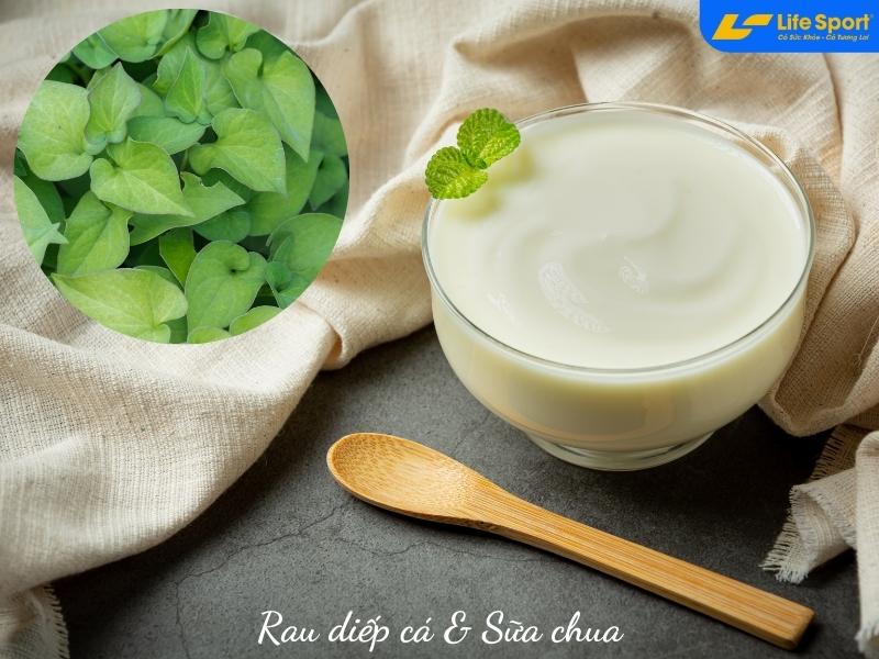 4 cách trị mụn bằng rau diếp cá siêu tốc tại nhà Bí quyết trị mụn bằng rau diếp cá và sữa chua