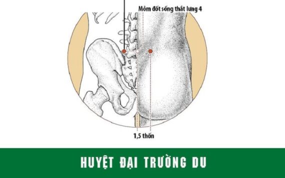 cac-huyet-massage-lung-can-tac-dong