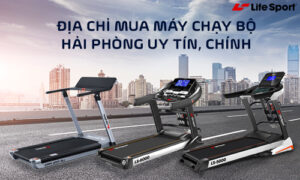 dia-chi-cung-cap-may-chay-bo-chat-luong-uy-tin-o-hai-phong-1