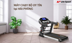 don-vi-cung-cap-may-chay-bo-uy-tin-o-hai-phong-1