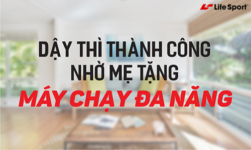 may chay bo da nang 1