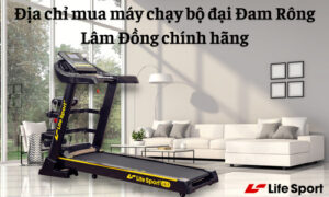 may-chay-bo-tai-dam-rong