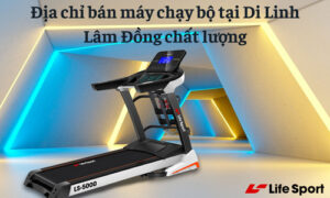 may-chay-bo-tai-di-linh