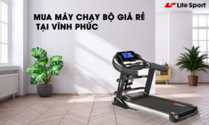 noi mua may chay bo vinh phuc gia re cho moi nguoi 1