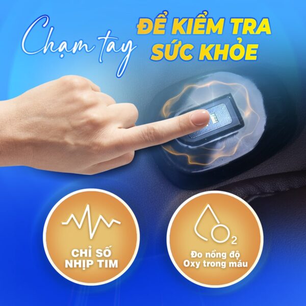 Ghế Massage Lifesport LS-369 SL Ghe massage Lifesport LS 369 10 2