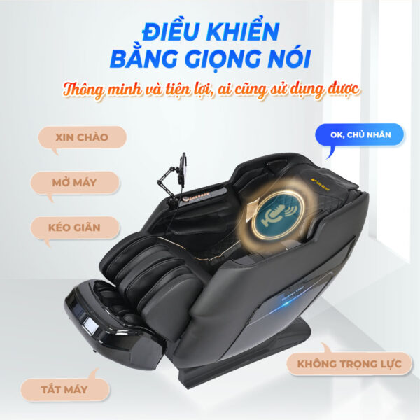 Ghế Massage Lifesport LS-825